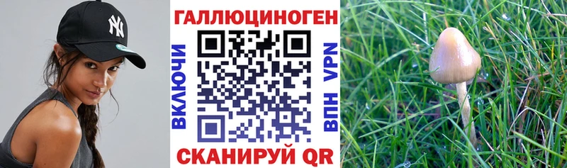 Псилоцибиновые грибы Magic Shrooms Палласовка